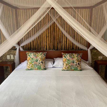 Pina Coloradas Ecolodge Yuluc 部屋 写真